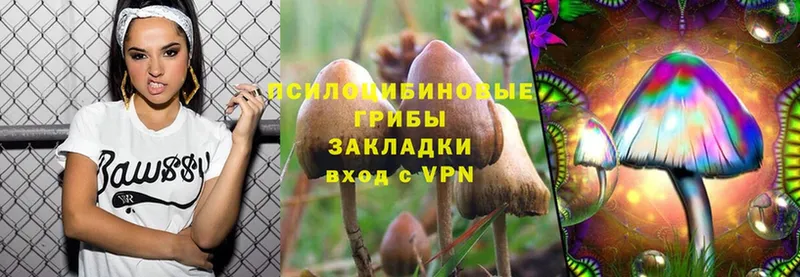 цены   Бронницы  Галлюциногенные грибы Magic Shrooms 